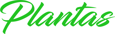 Plant icon